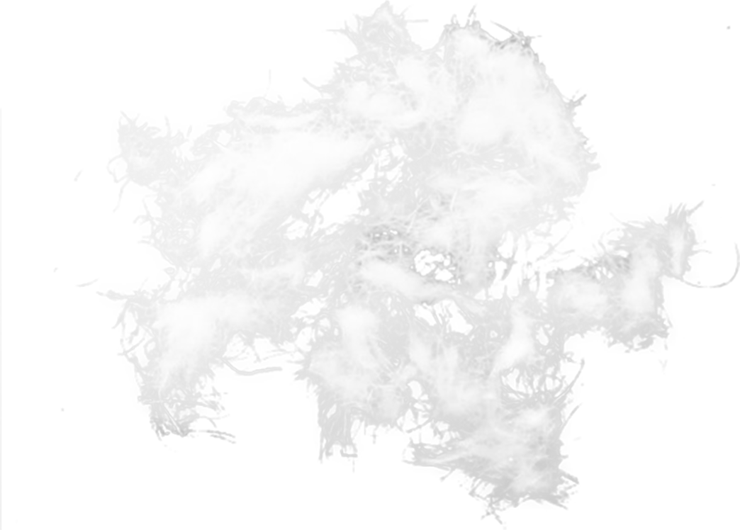 有哪些常见假羽绒？